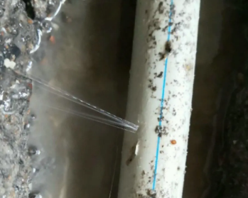 南岗卫生间测漏水多少钱